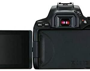 Canon 250d-67000 Camera